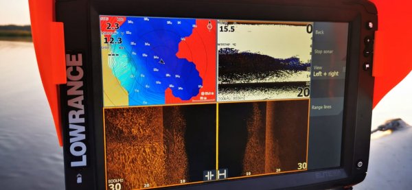 Туча малька