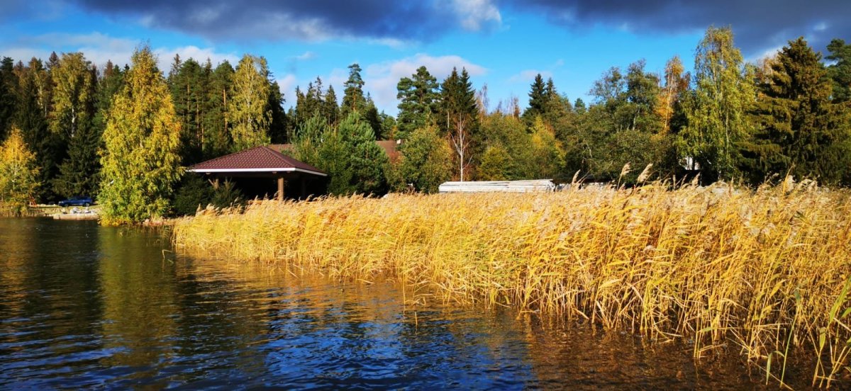 WhatsApp Image 2023-10-16 at 07.13.241.jpeg