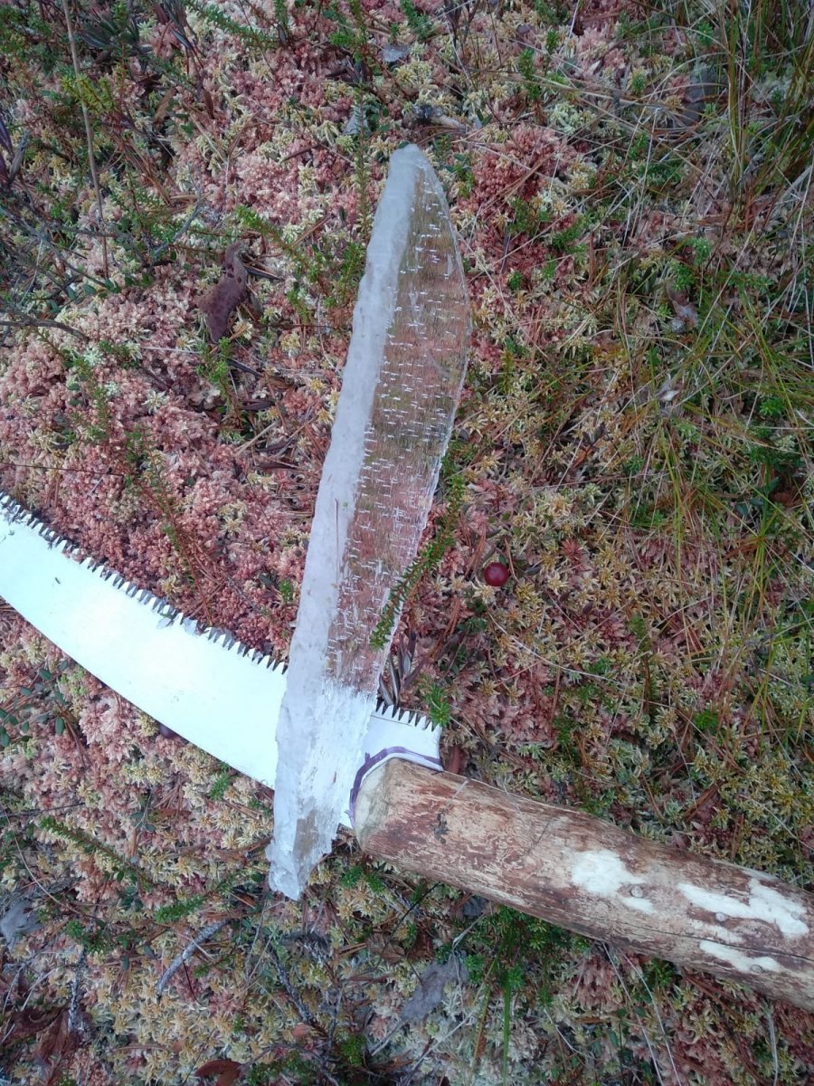 WhatsApp Image 2023-10-28 at 10.31.05(1).jpeg