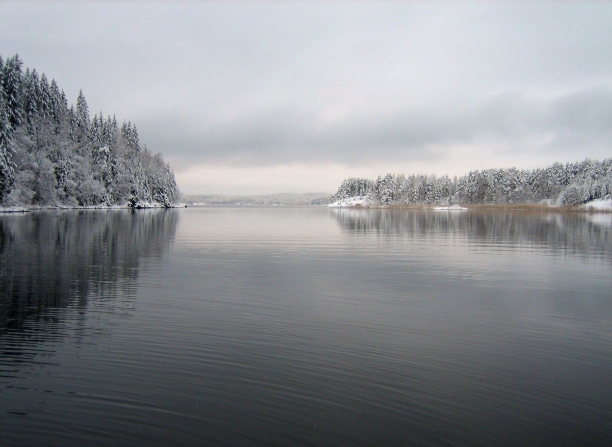 IMG_1240 - копия.JPG