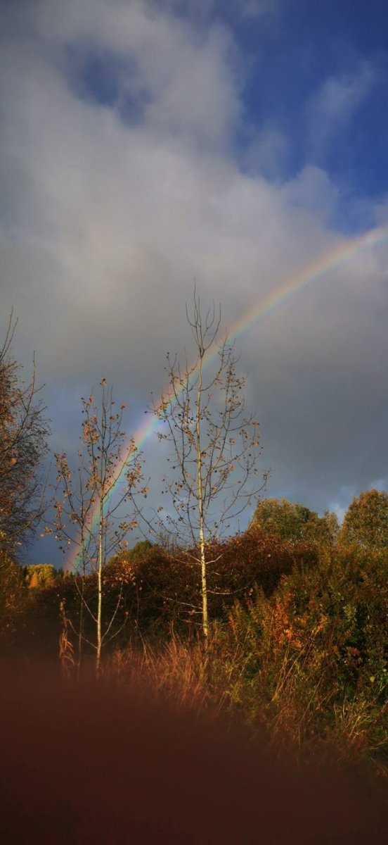 WhatsApp Image 2023-10-16 at 07.13.261.jpeg