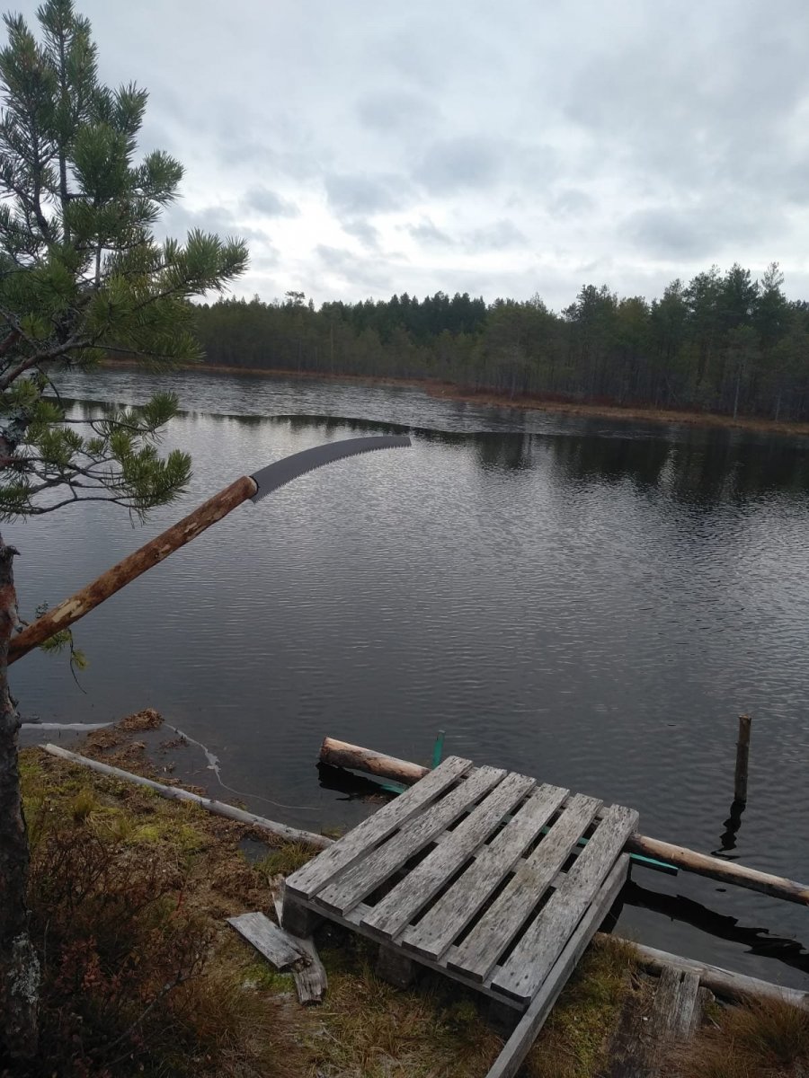 WhatsApp Image 2023-10-28 at 10.31.06.jpeg