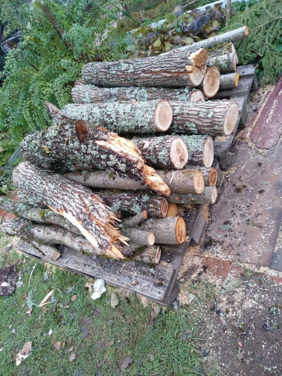 WhatsApp Image 2023-10-19 at 15.35.04(1).jpeg