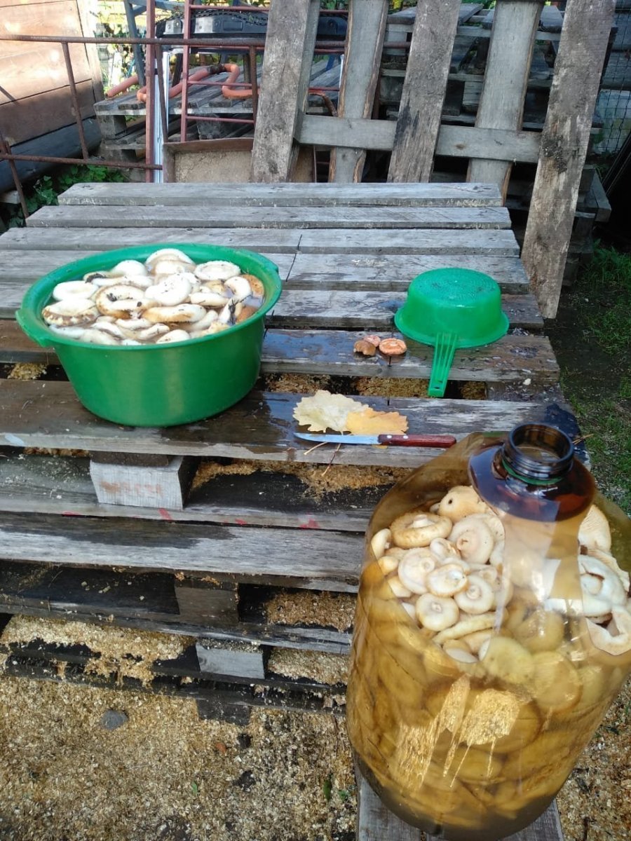 WhatsApp Image 2023-09-04 at 17.13.30.jpeg