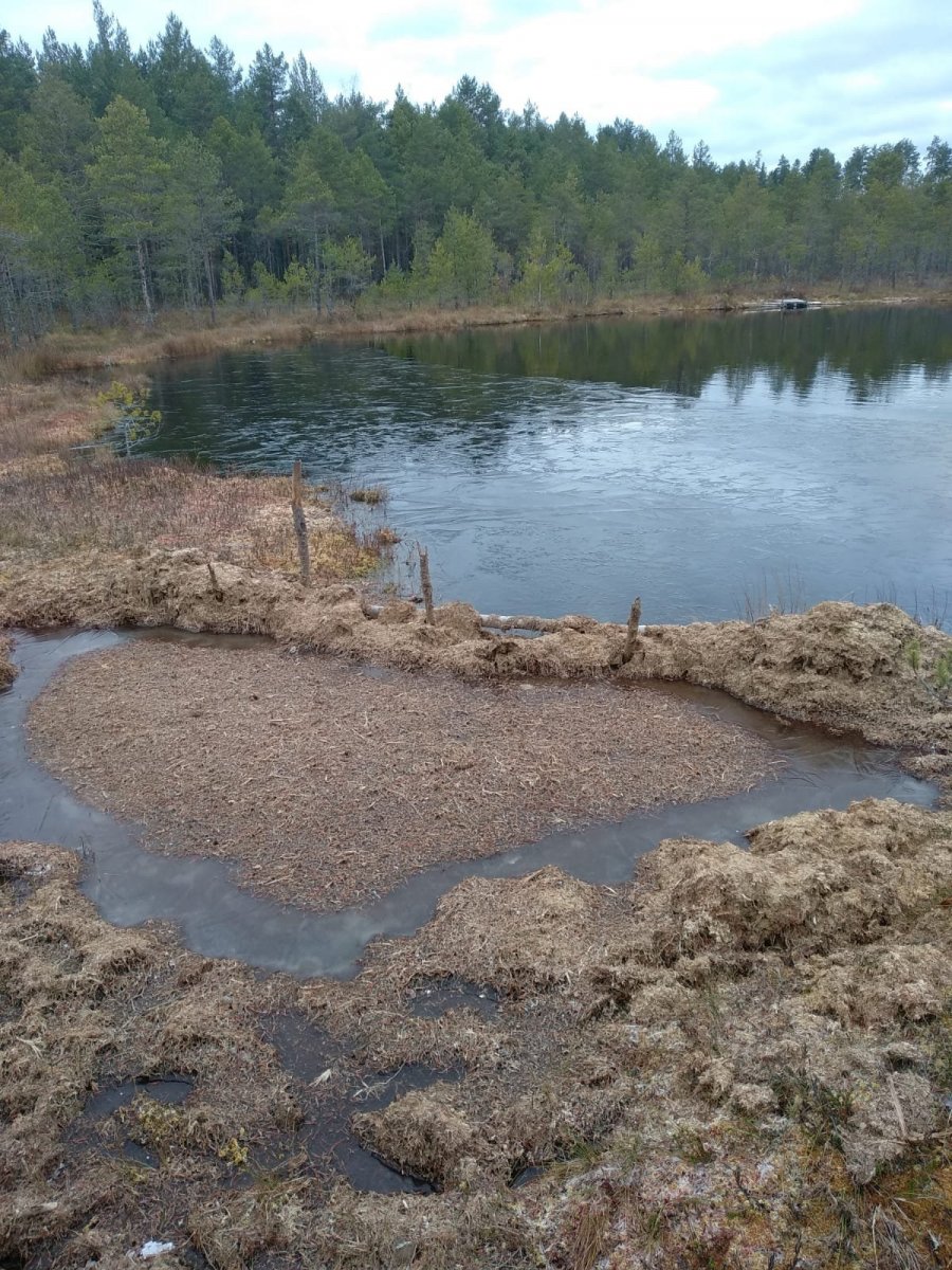 WhatsApp Image 2023-10-28 at 10.31.04(2).jpeg