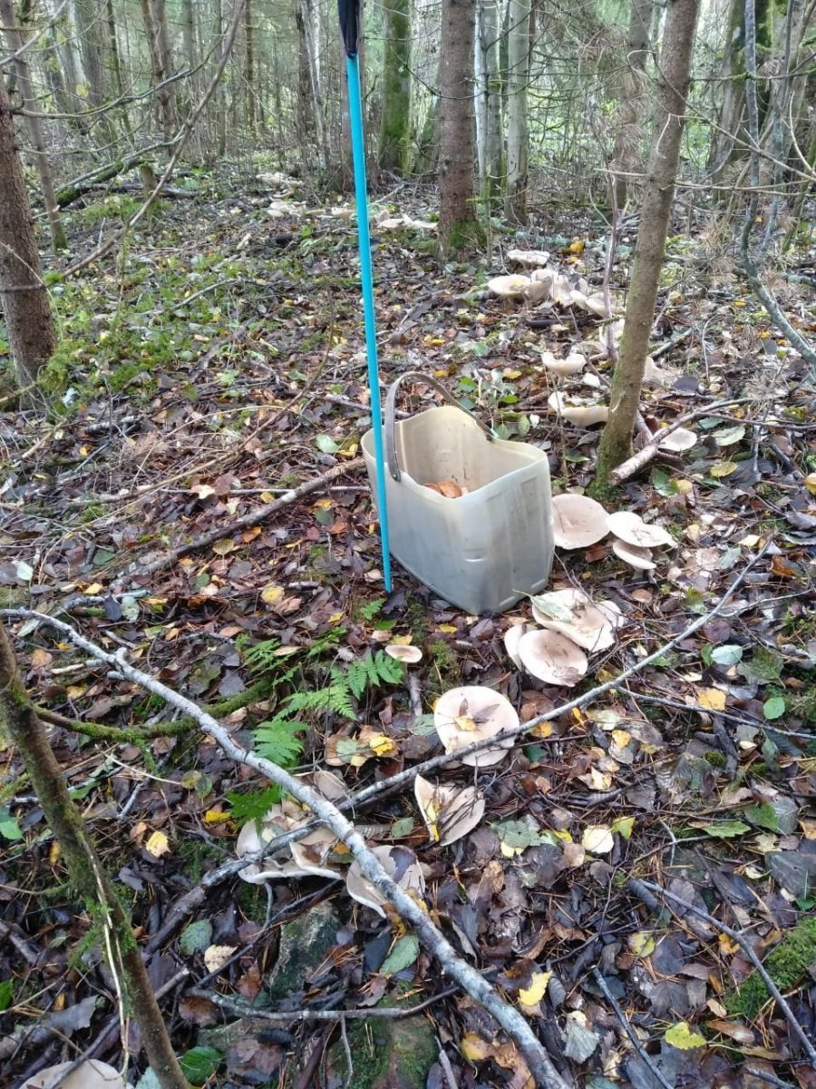 WhatsApp Image 2023-10-19 at 15.35.05(1).jpeg