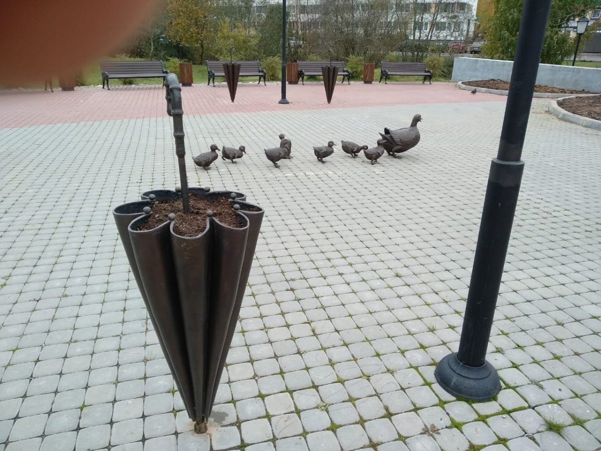 WhatsApp Image 2023-10-23 at 16.21.49.jpeg