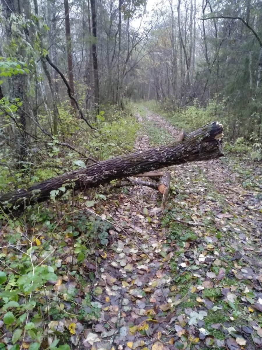 WhatsApp Image 2023-10-19 at 15.35.07.jpeg