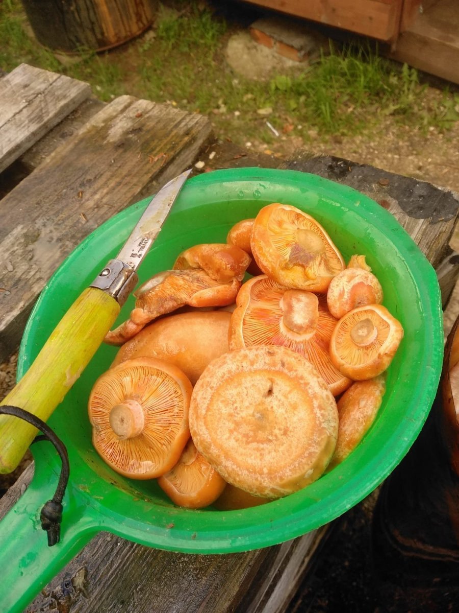 WhatsApp Image 2023-10-13 at 19.57.22(1).jpeg