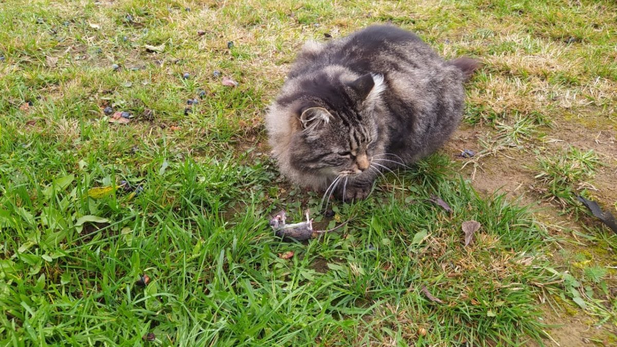 WhatsApp Image 2023-10-11 at 10.39.00.jpeg