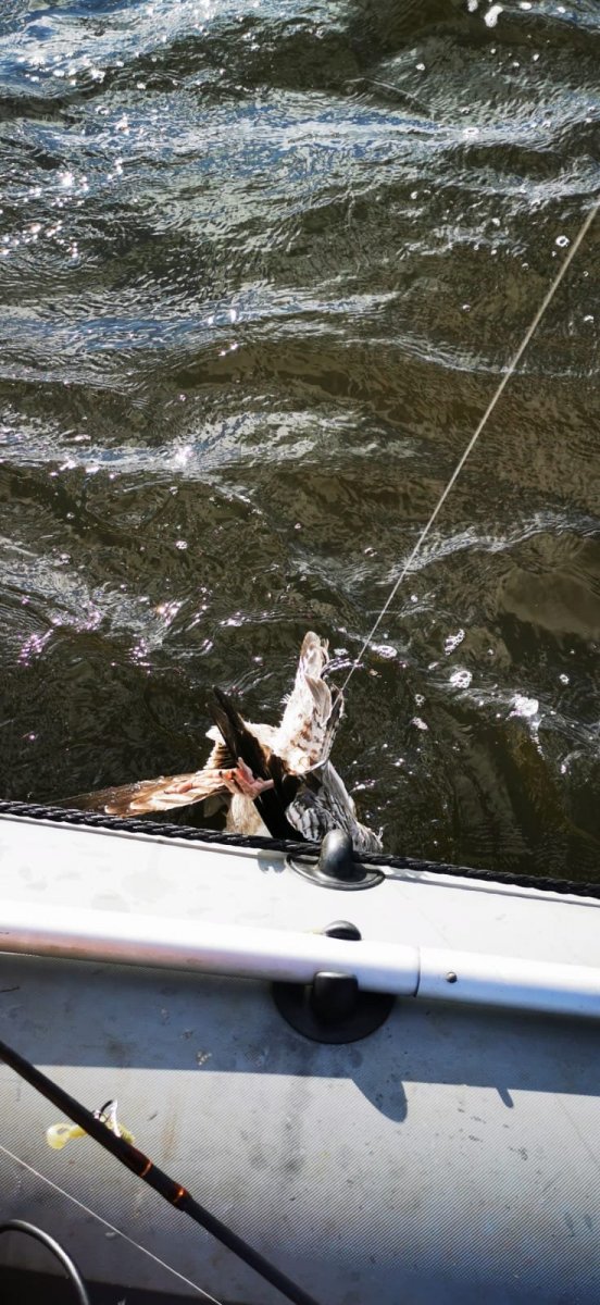 WhatsApp Image 2023-10-16 at 07.13.251.jpeg