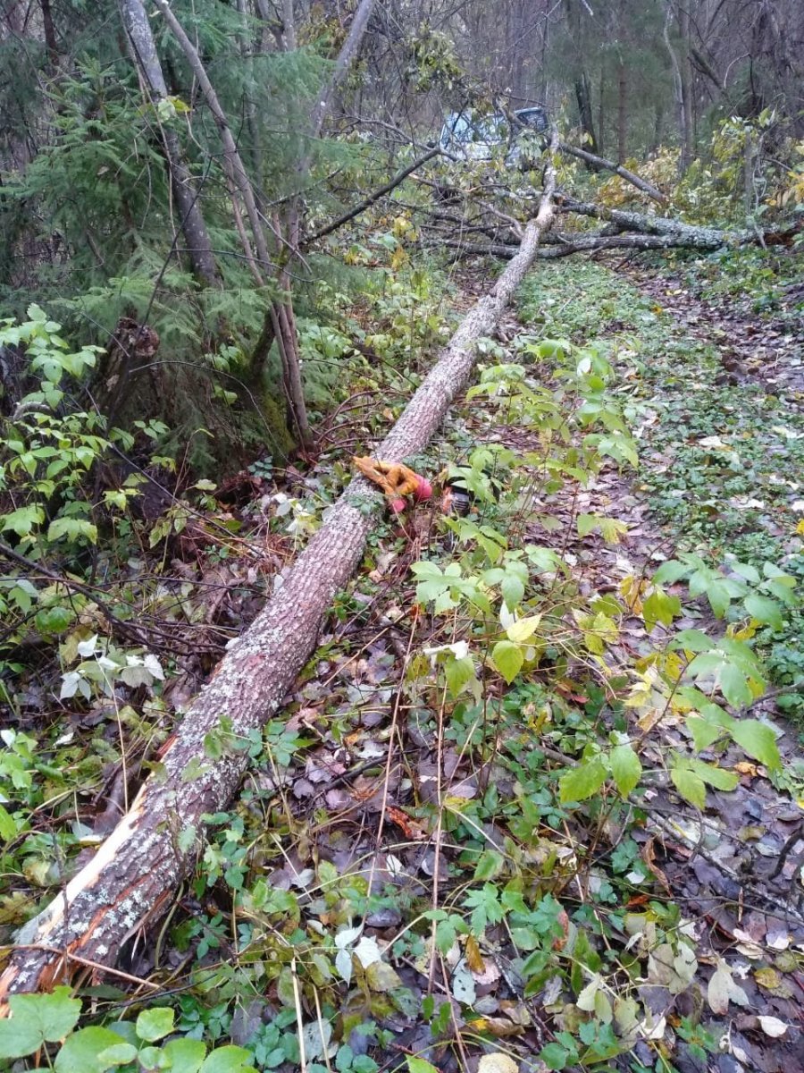 WhatsApp Image 2023-10-19 at 15.35.06.jpeg