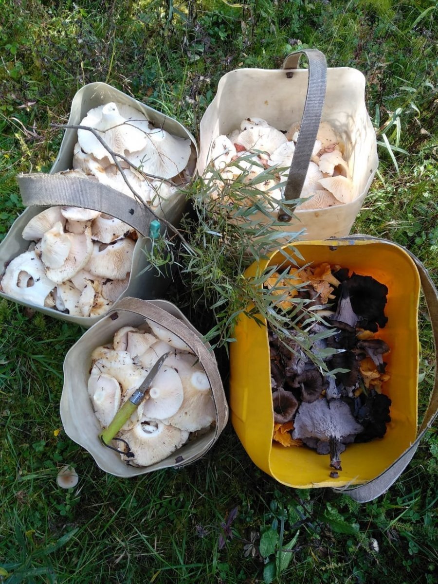 WhatsApp Image 2023-09-11 at 18.51.54(1).jpeg