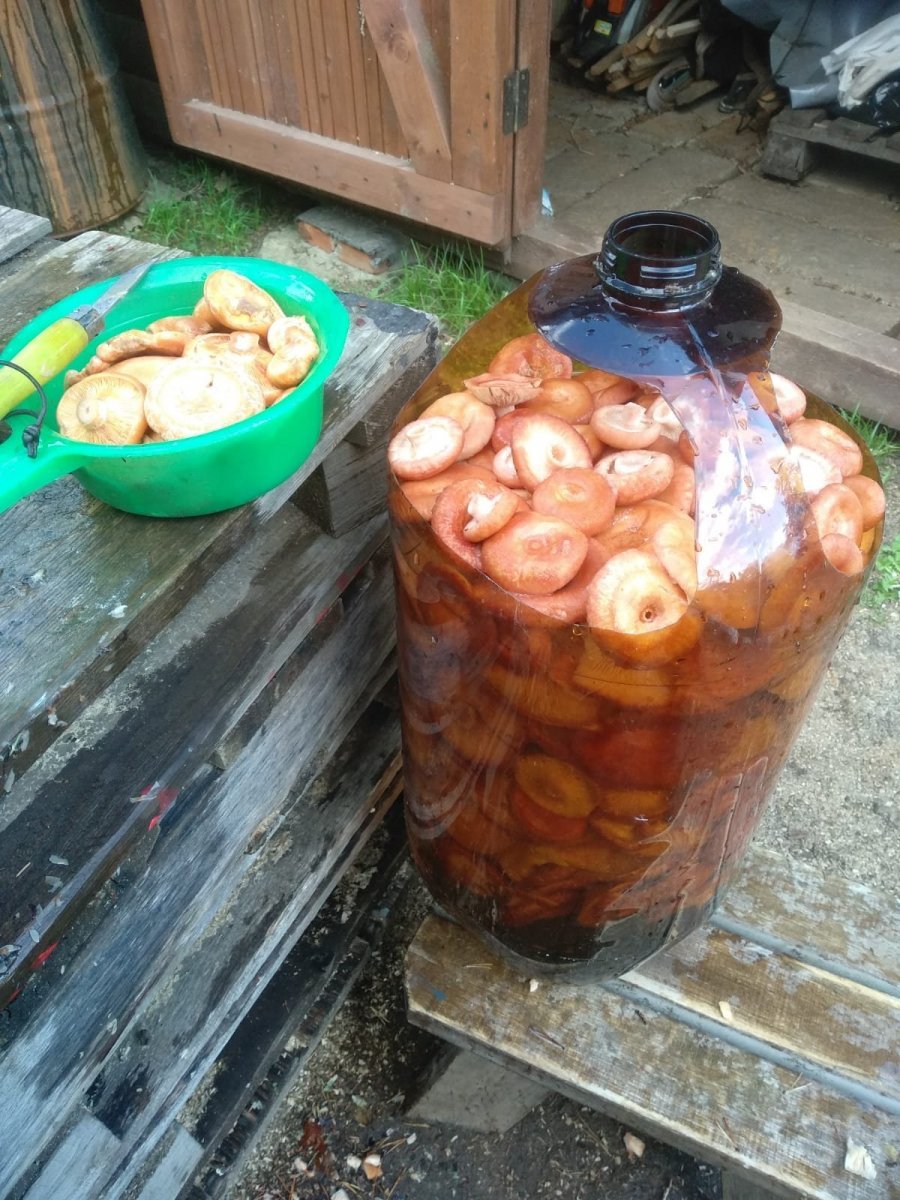 WhatsApp Image 2023-10-13 at 19.57.22(2).jpeg