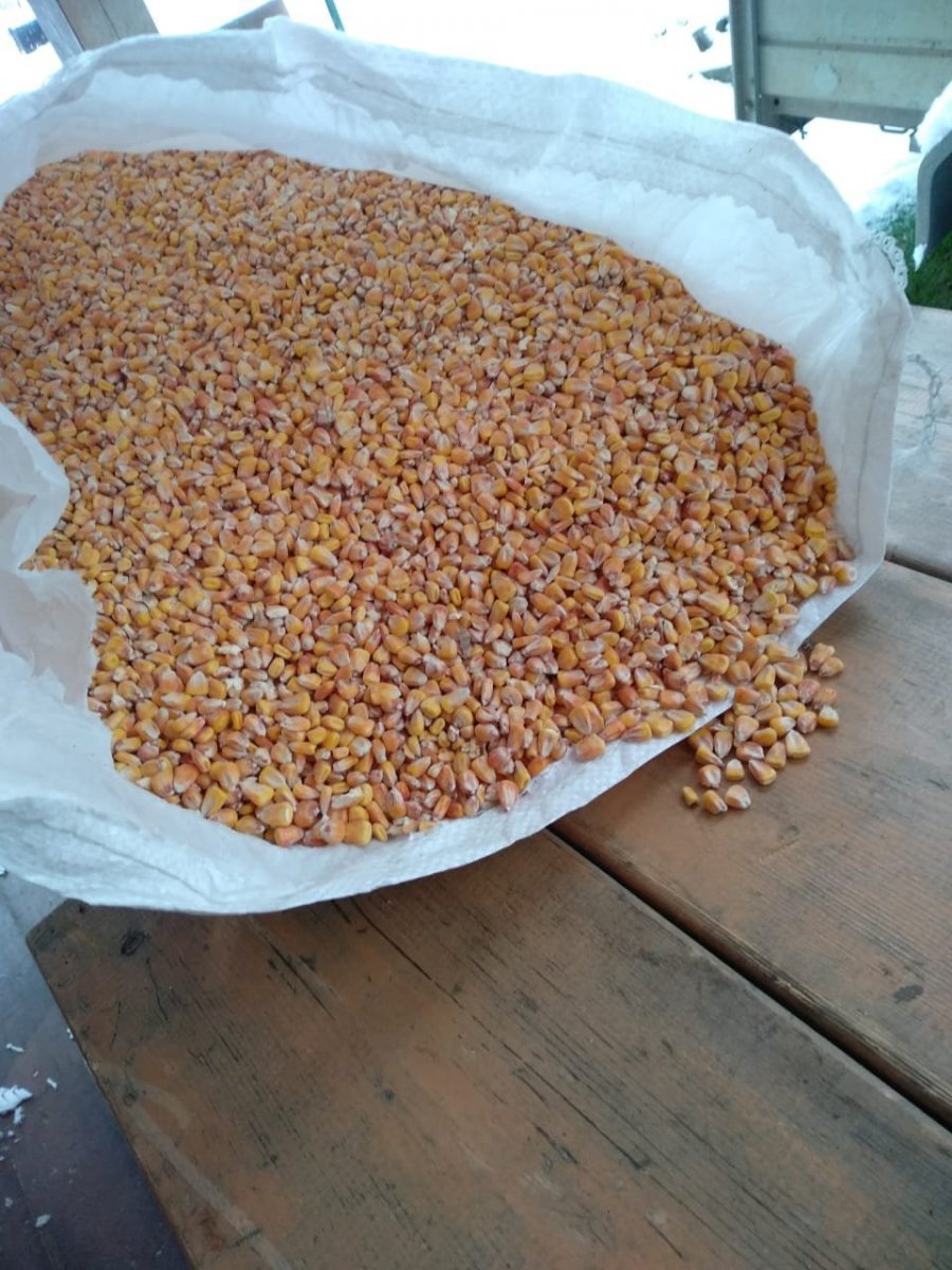 WhatsApp Image 2023-10-28 at 21.08.40(1).jpeg