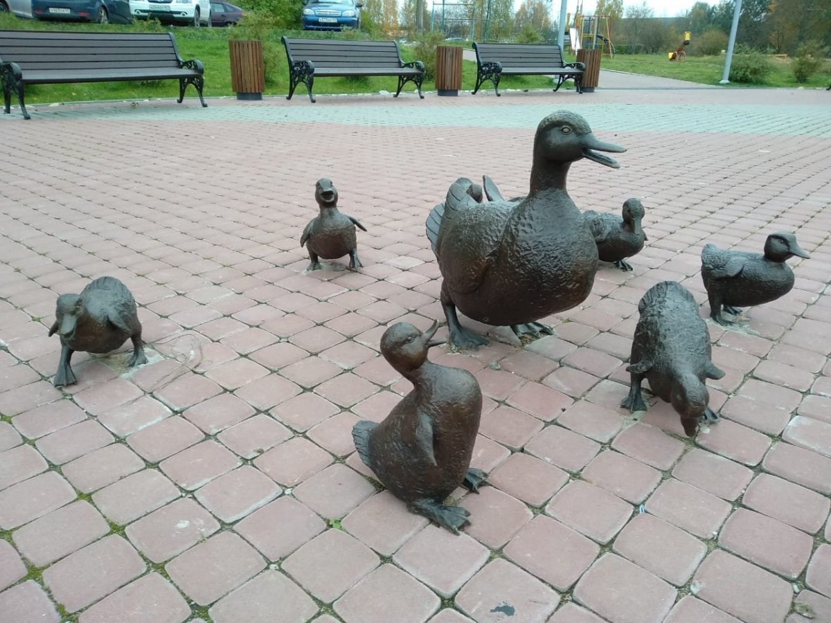 WhatsApp Image 2023-10-23 at 16.21.49(1).jpeg