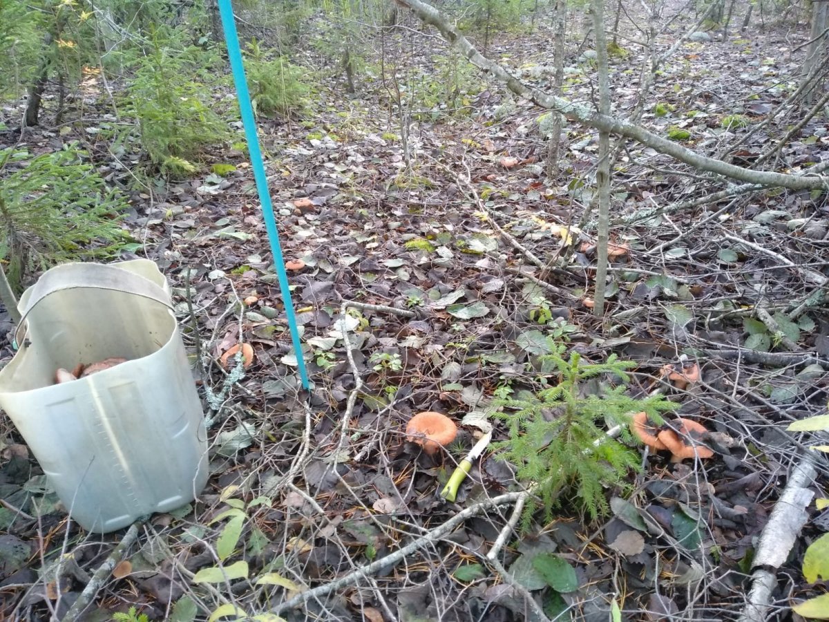 WhatsApp Image 2023-10-13 at 19.57.23.jpeg