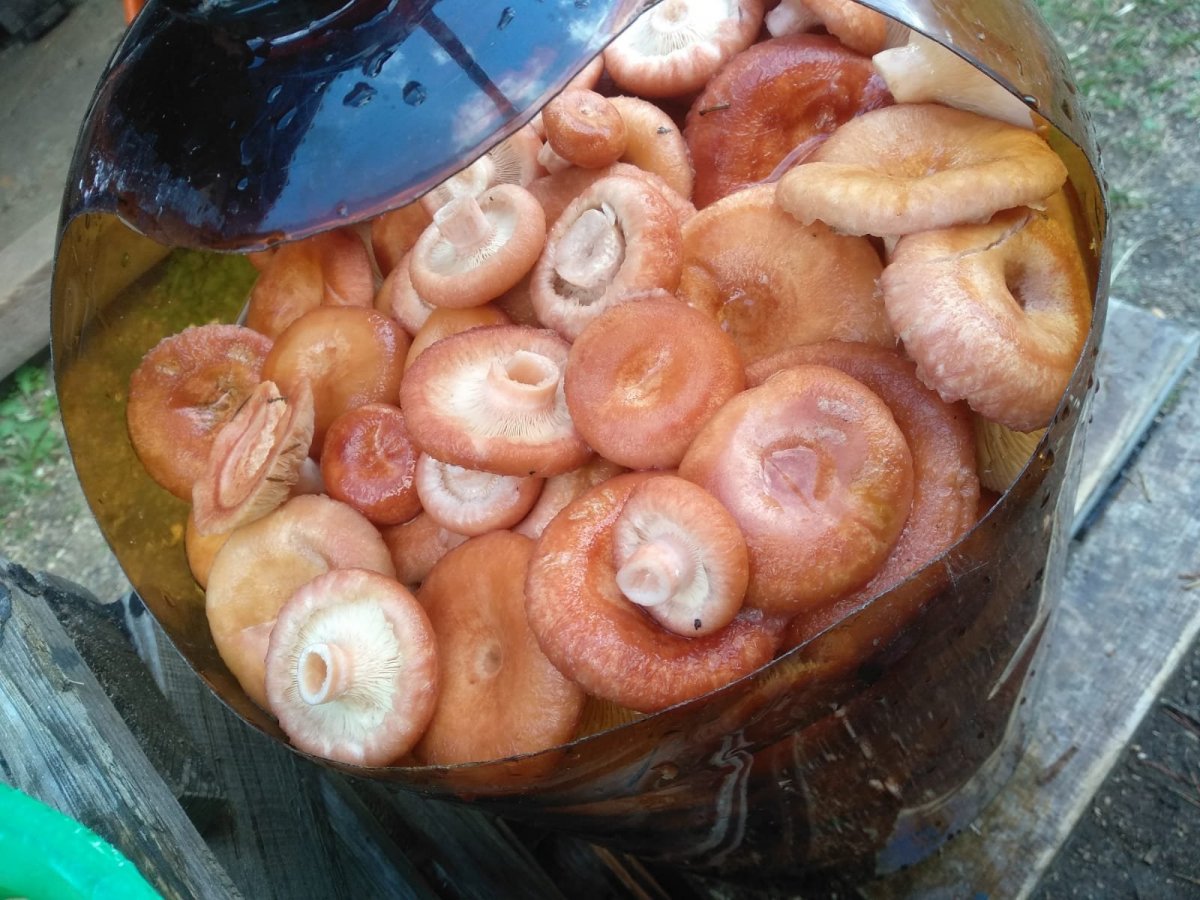 WhatsApp Image 2023-10-13 at 19.57.22.jpeg