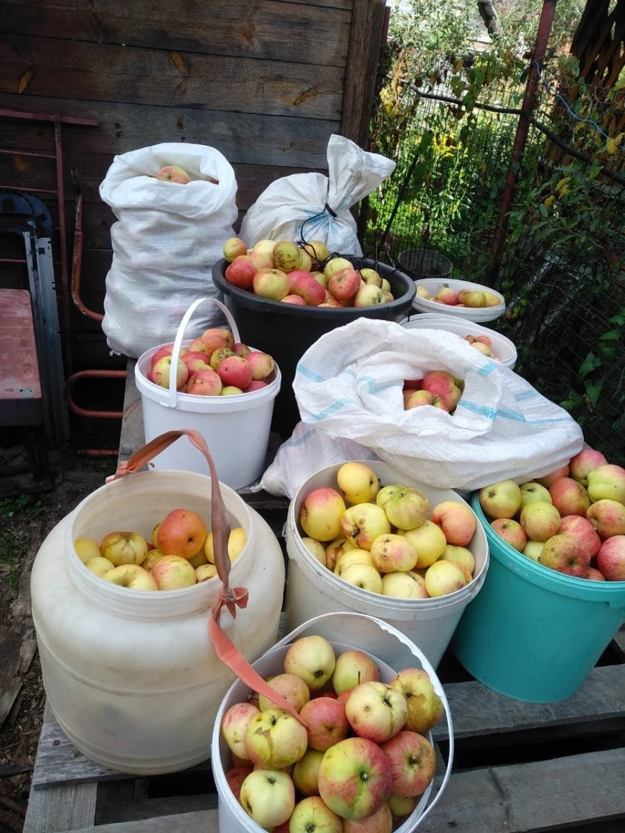 WhatsApp Image 2023-09-25 at 14.44.57.jpeg