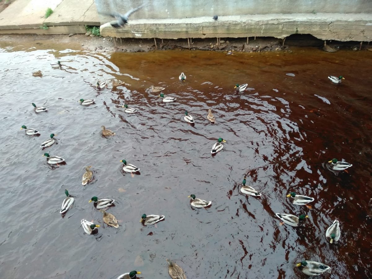 WhatsApp Image 2023-10-23 at 16.21.48.jpeg