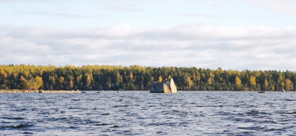 WhatsApp Image 2023-10-16 at 07.13.2512.jpeg