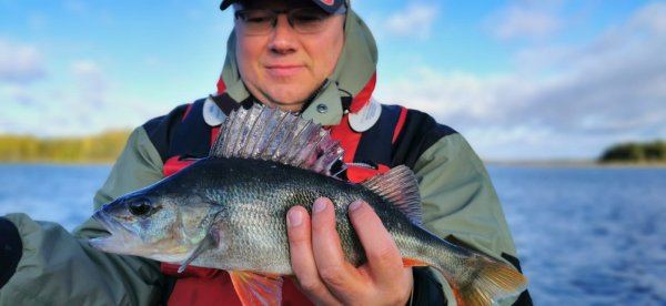 Барабуля и Окунек