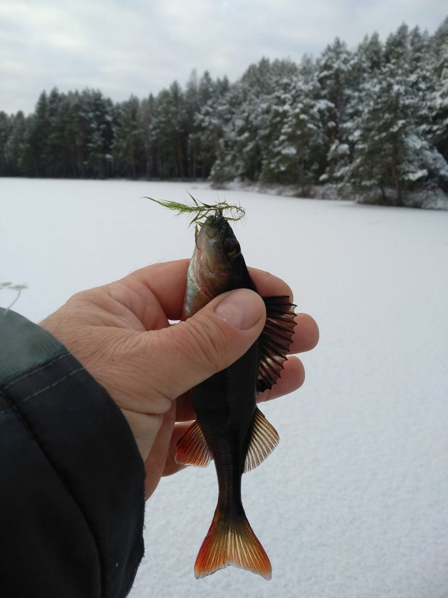 WhatsApp Image 2023-11-23 at 20.09.08.jpeg