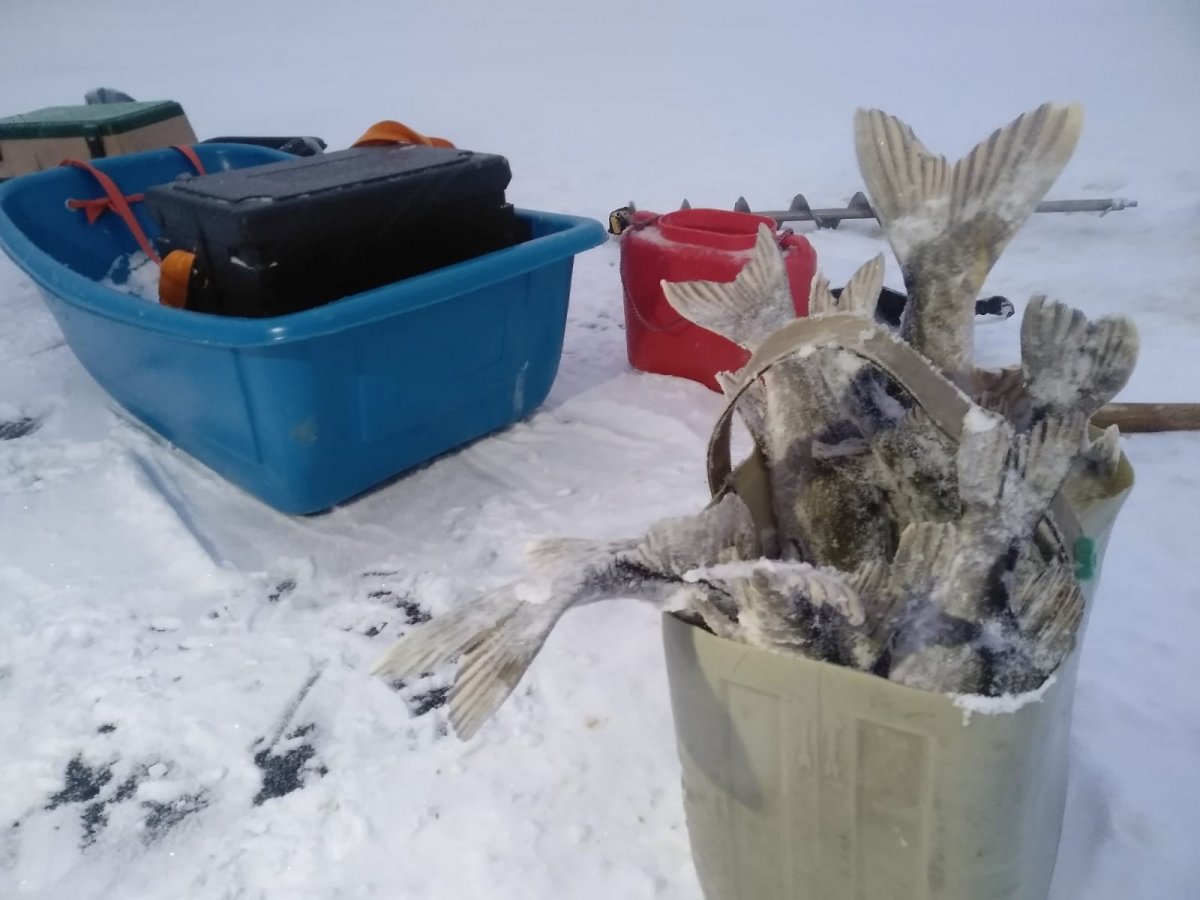 WhatsApp Image 2023-11-23 at 20.09.05.jpeg