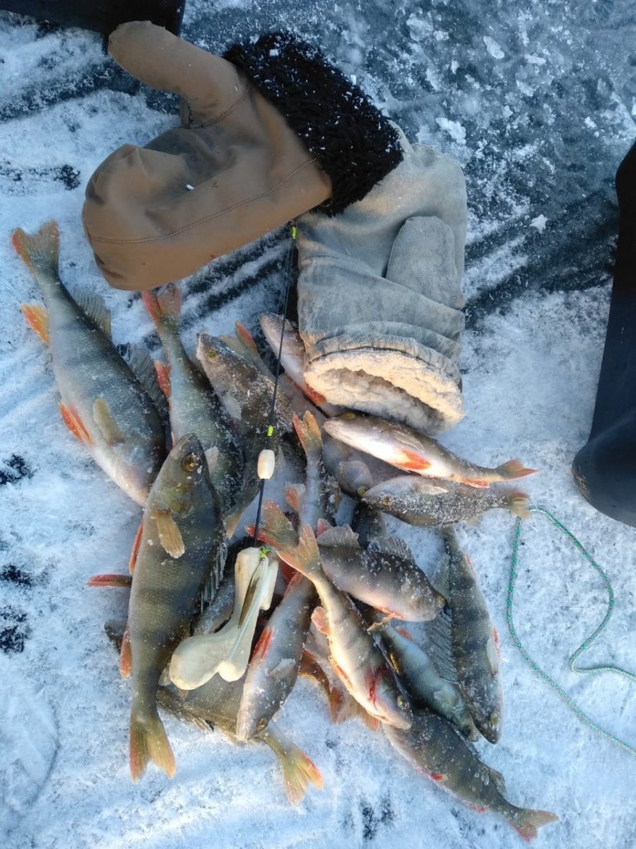 WhatsApp Image 2023-11-19 at 18.29.37.jpeg