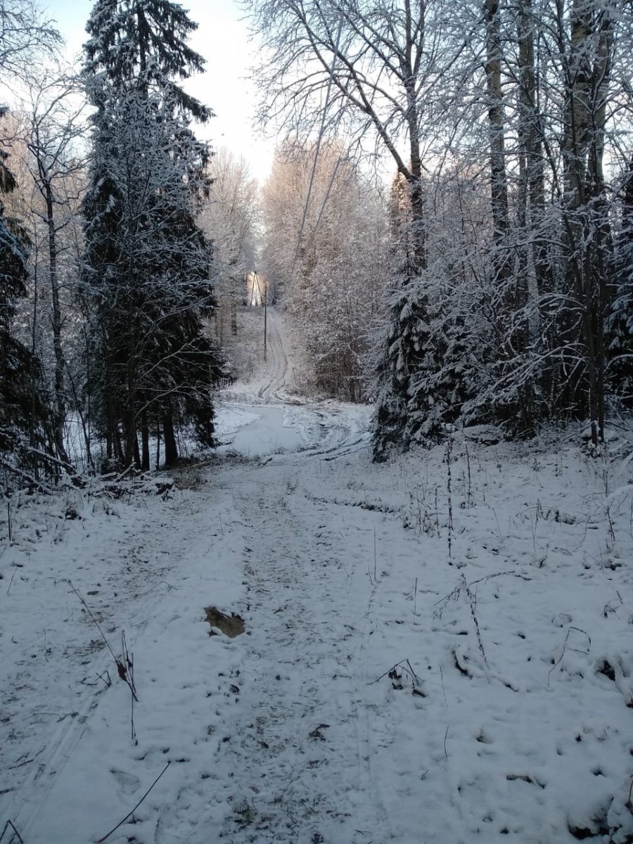 WhatsApp Image 2023-11-19 at 18.29.34.jpeg