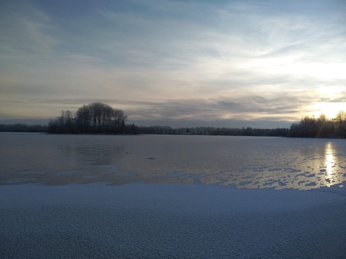 WhatsApp Image 2023-11-19 at 18.29.35.jpeg