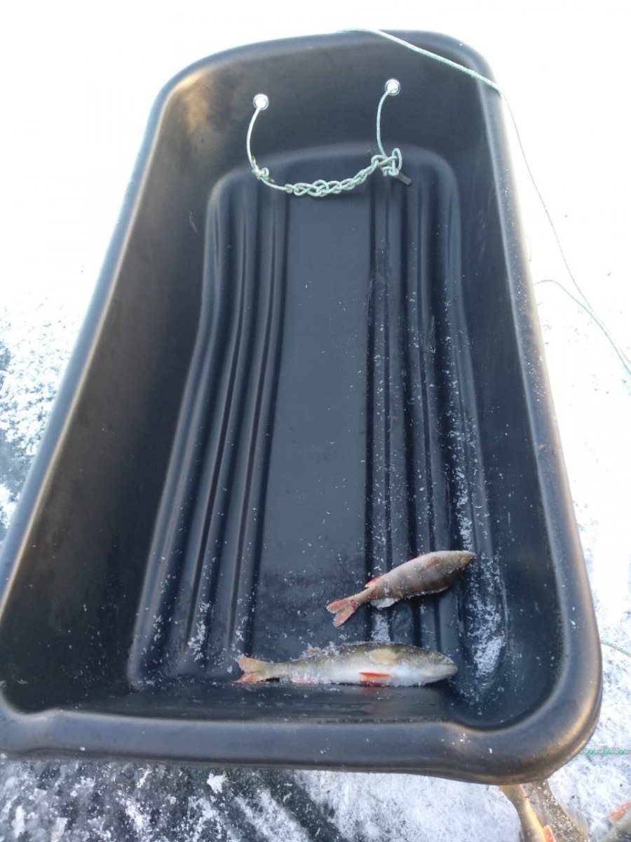 WhatsApp Image 2023-11-19 at 18.29.36(1).jpeg