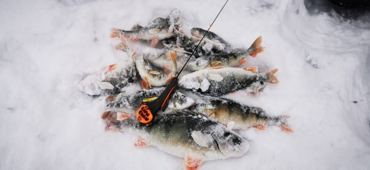 WhatsApp Image 2023-11-26 at 09.17.285.jpg