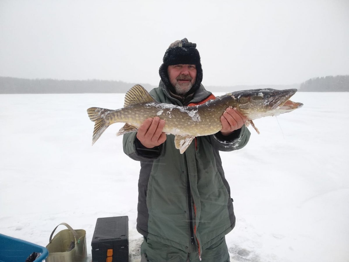 WhatsApp Image 2023-11-23 at 20.09.06.jpeg