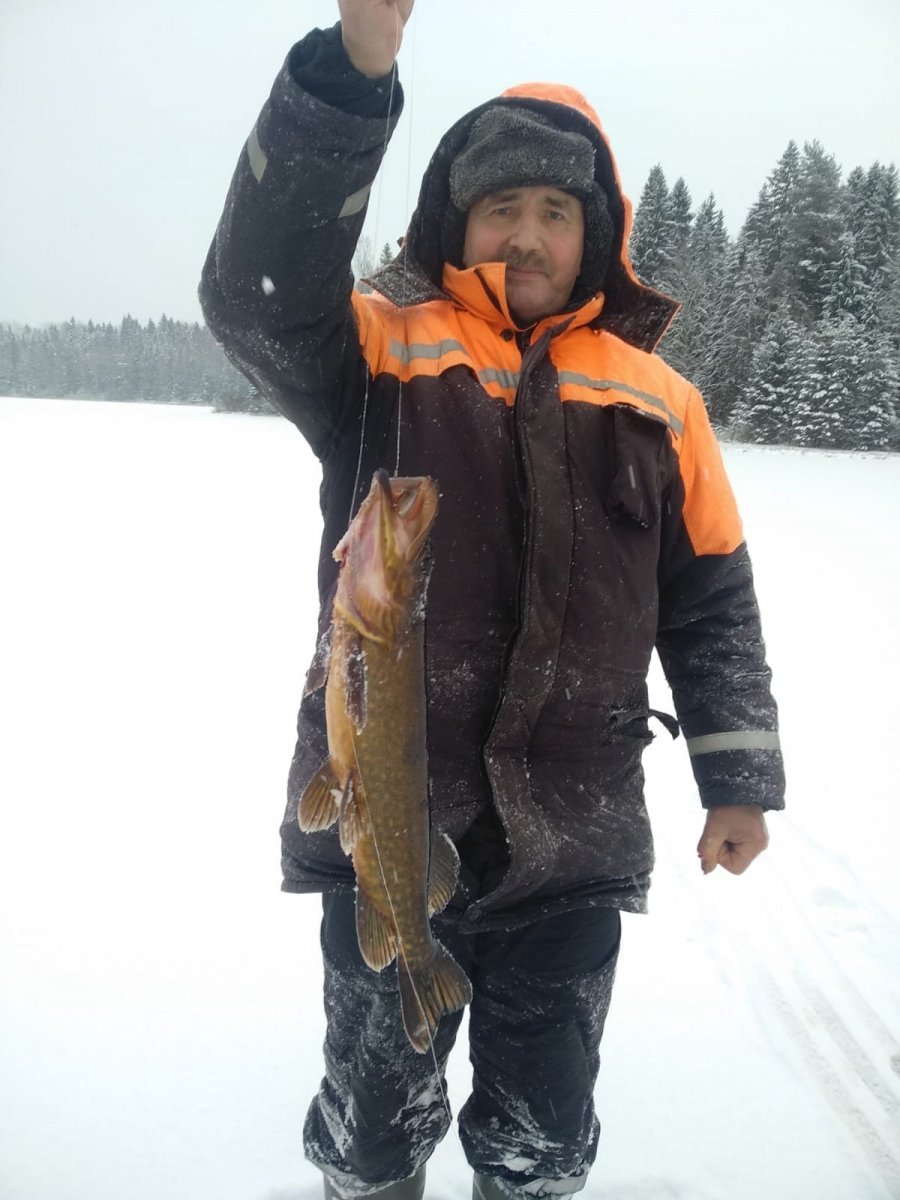 WhatsApp Image 2023-11-26 at 19.50.51.jpeg