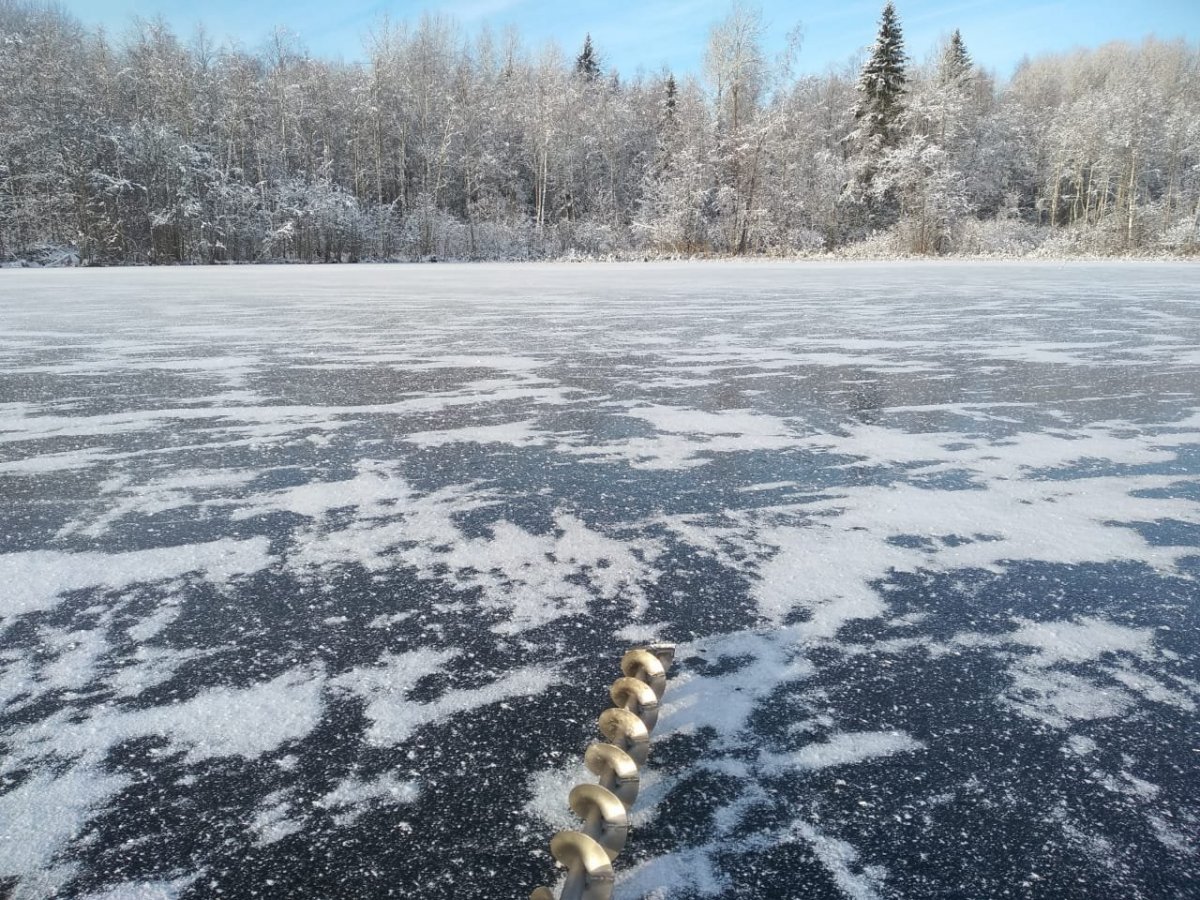 WhatsApp Image 2023-11-19 at 18.29.37(2).jpeg