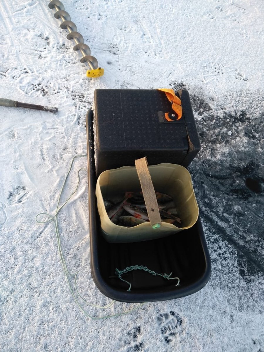 WhatsApp Image 2023-11-19 at 18.29.36.jpeg