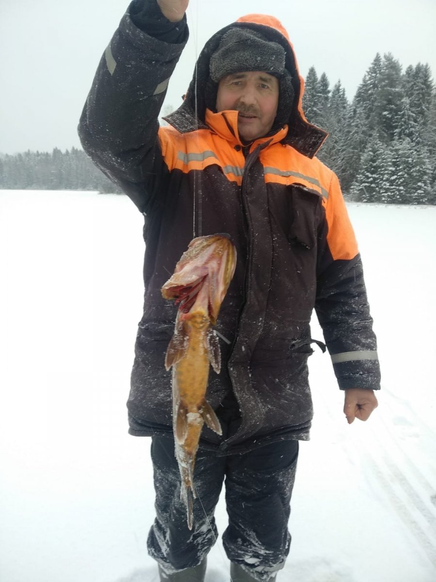 WhatsApp Image 2023-11-26 at 19.50.50.jpeg