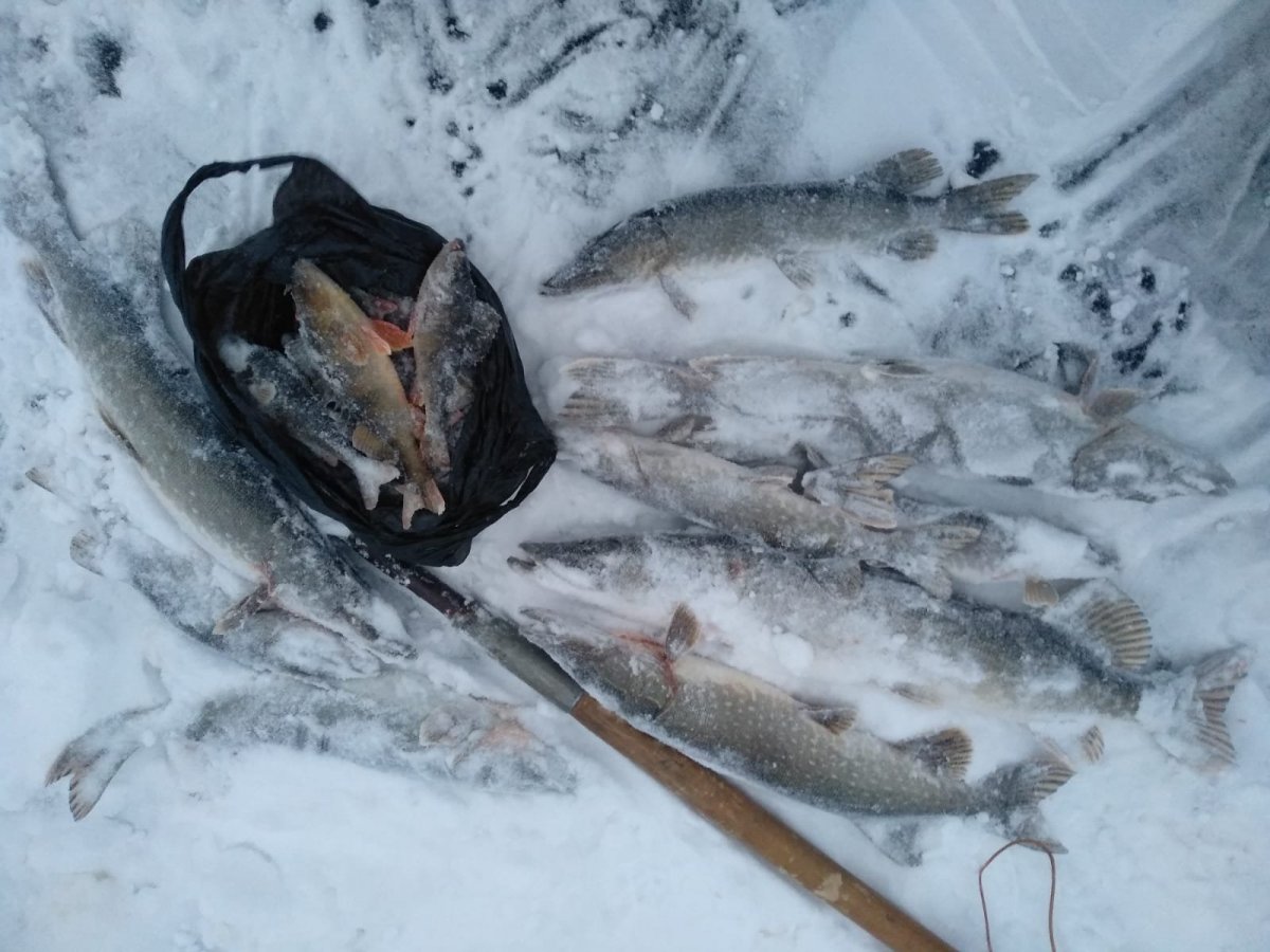 WhatsApp Image 2023-11-23 at 20.09.05(2).jpeg