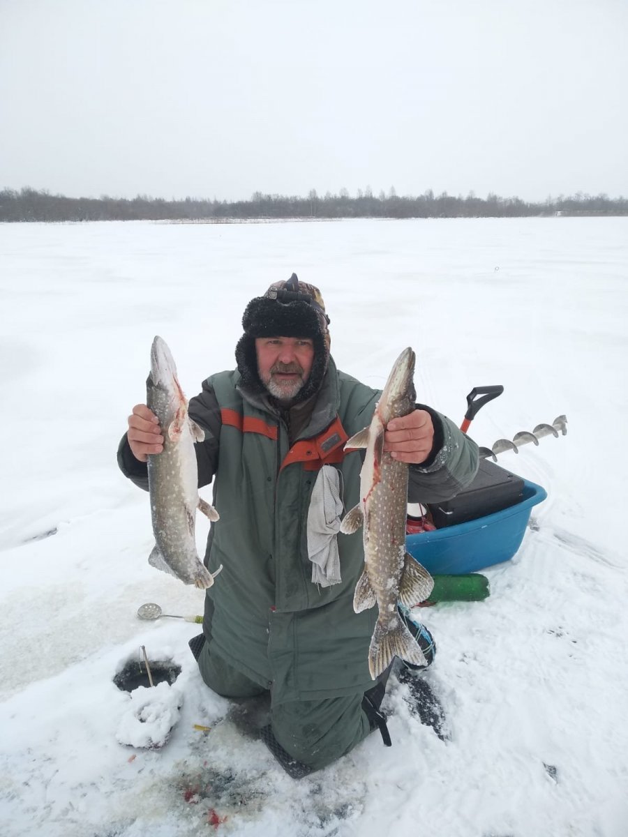 WhatsApp Image 2023-11-23 at 20.09.07.jpeg