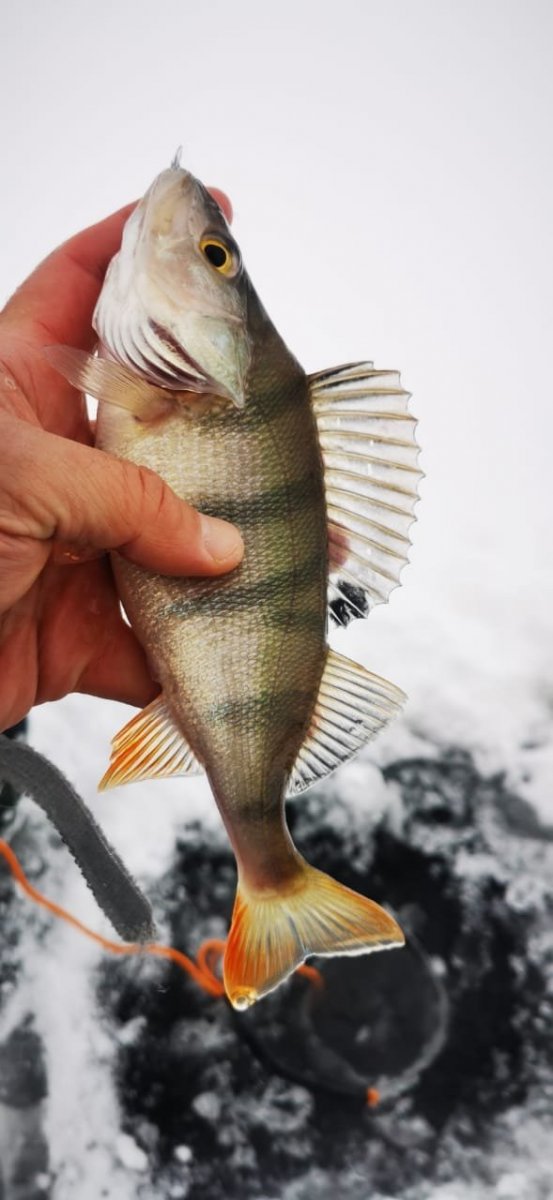 WhatsApp Image 2023-11-26 at 09.17.271.jpeg