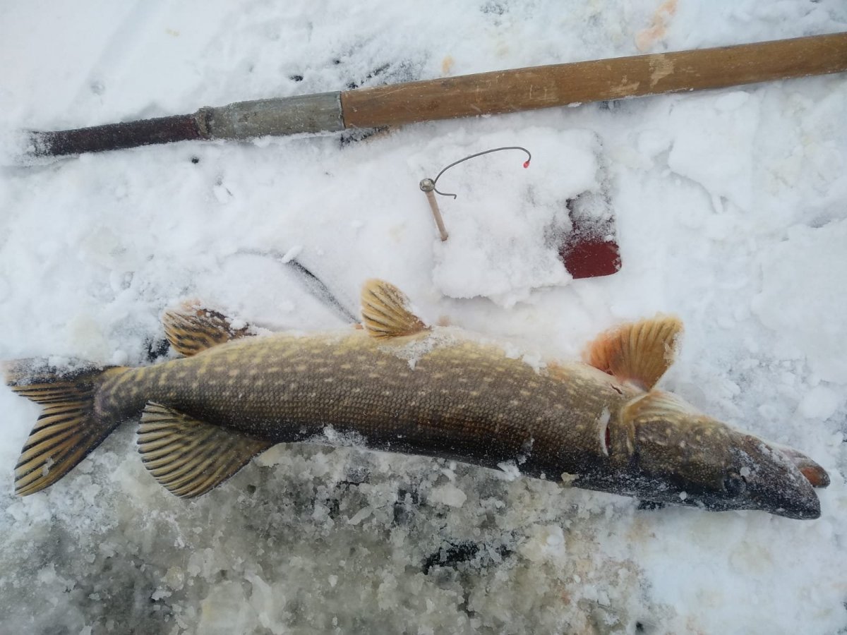 WhatsApp Image 2023-11-23 at 20.09.06(1).jpeg