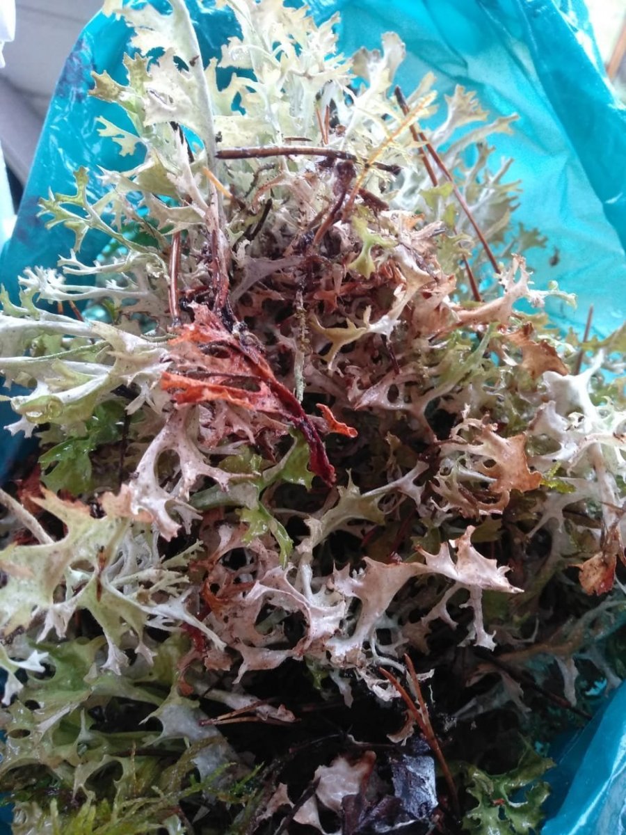 WhatsApp Image 2023-11-15 at 17.17.54.jpeg