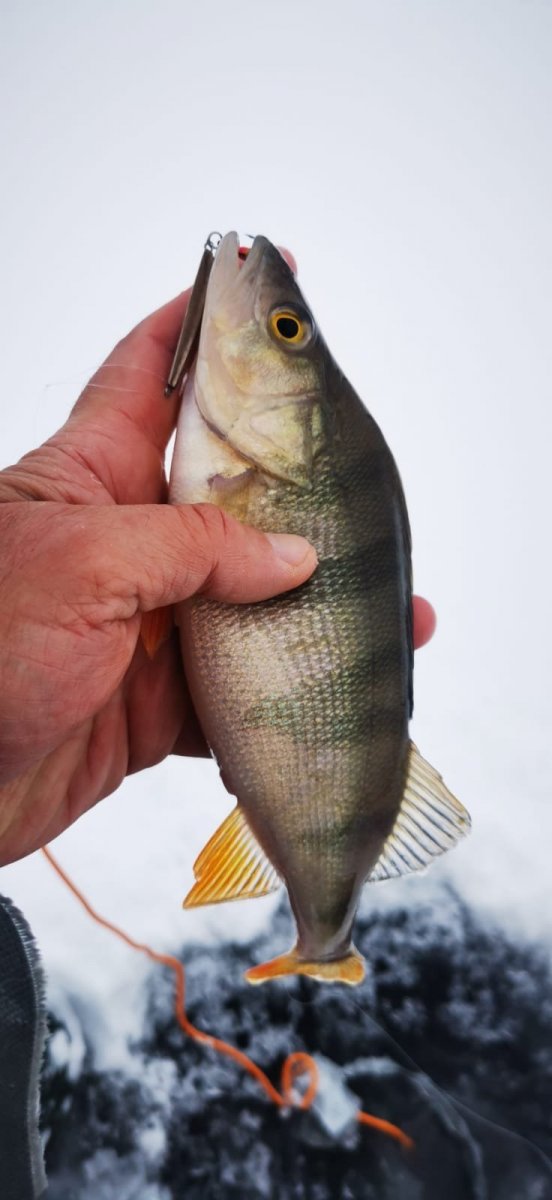 WhatsApp Image 2023-11-26 at 09.17.273.jpeg