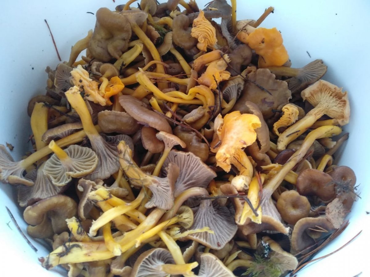 WhatsApp Image 2023-11-15 at 17.17.53(2).jpeg