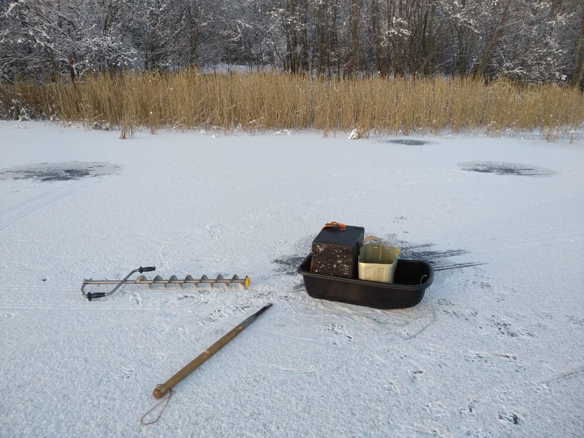 WhatsApp Image 2023-11-19 at 18.29.34(1).jpeg