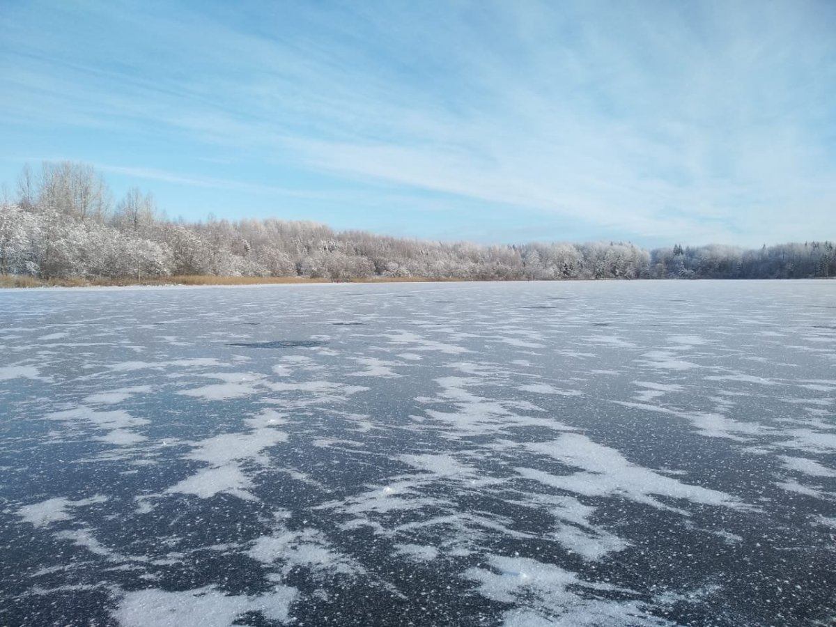 WhatsApp Image 2023-11-19 at 18.29.38.jpeg