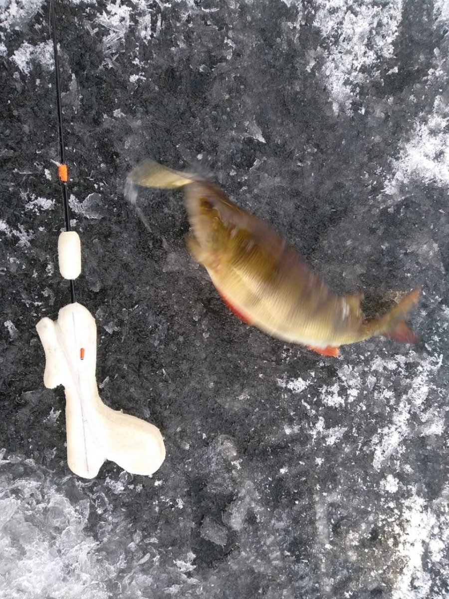 WhatsApp Image 2023-11-19 at 18.29.37(1).jpeg