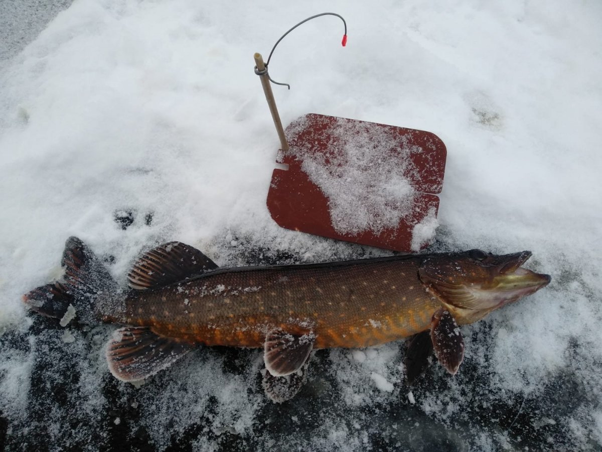 WhatsApp Image 2023-11-26 at 19.50.52(2).jpeg