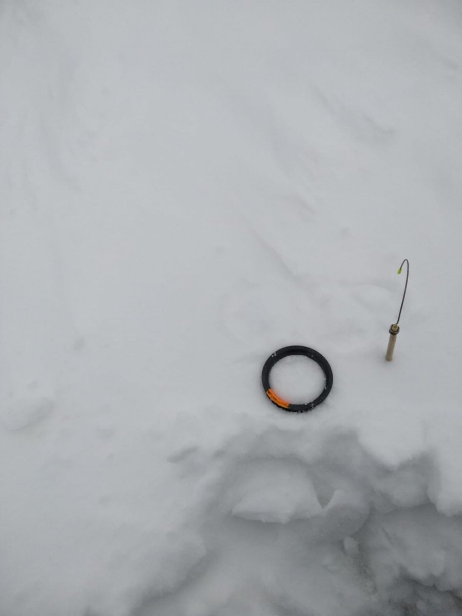 WhatsApp Image 2023-12-22 at 10.00.00.jpeg